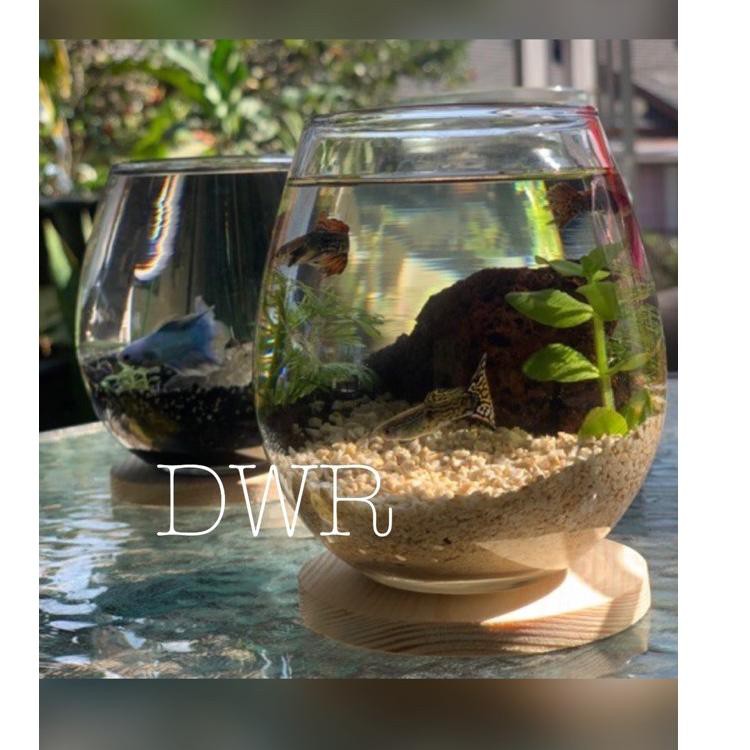 Buruan Serbu,,, Tank Cupang / Aquarium Ikan / Aquarium mini untuk aquascape