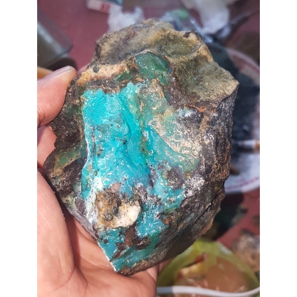 Rough bacan majiko biru
