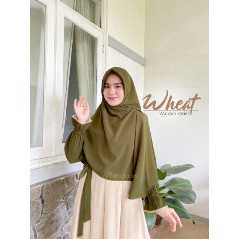Wardah Series by shaliha looks