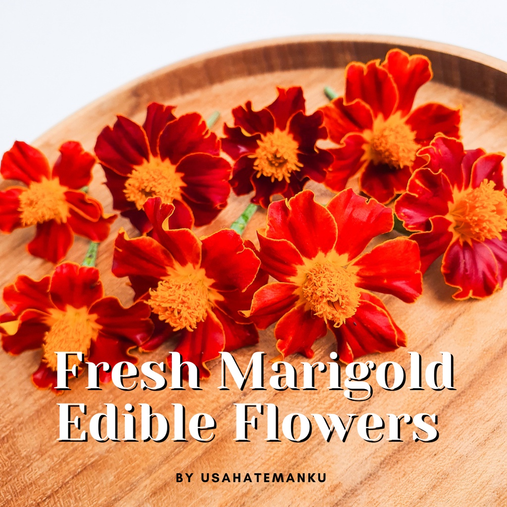 

UsahaTemanku Edible Flowers Marigold Tagetes Cottage