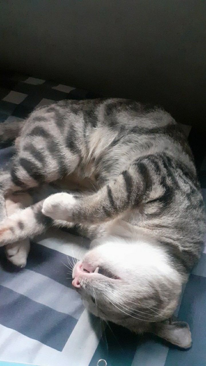 Wooden Projects Pajangan Dinding Rumah Hiasan Dekorasi Kamar Wall Decor Vector Girl Quote - Grw