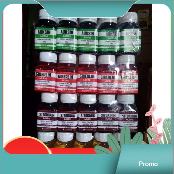 Paket ZPT (Auksin, Giberlin, Sitokinin, Anrin) Hormon Tanaman Hormon Buah