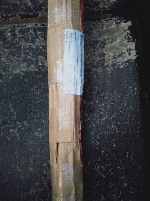 Bibit Jambu Biji Mega Merah