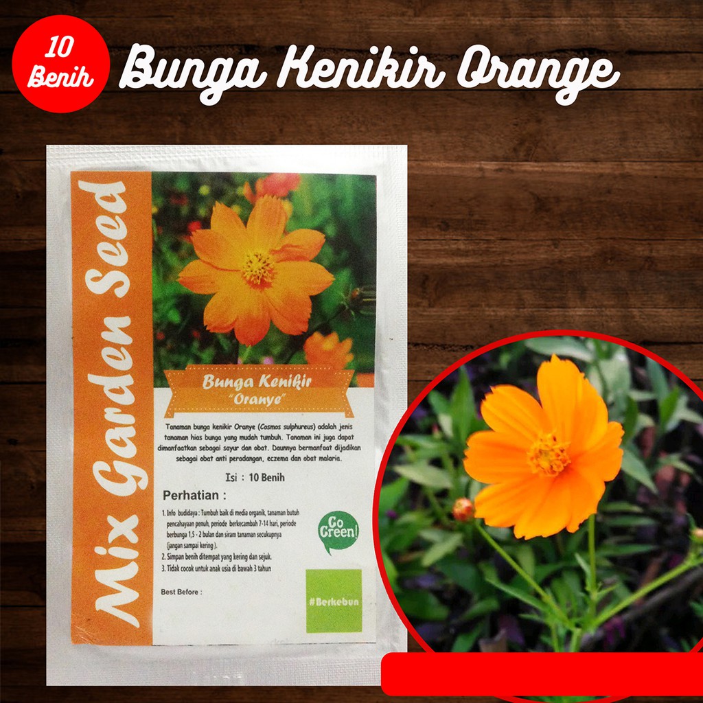 Bunga Kenikir Oranye Shopee Indonesia