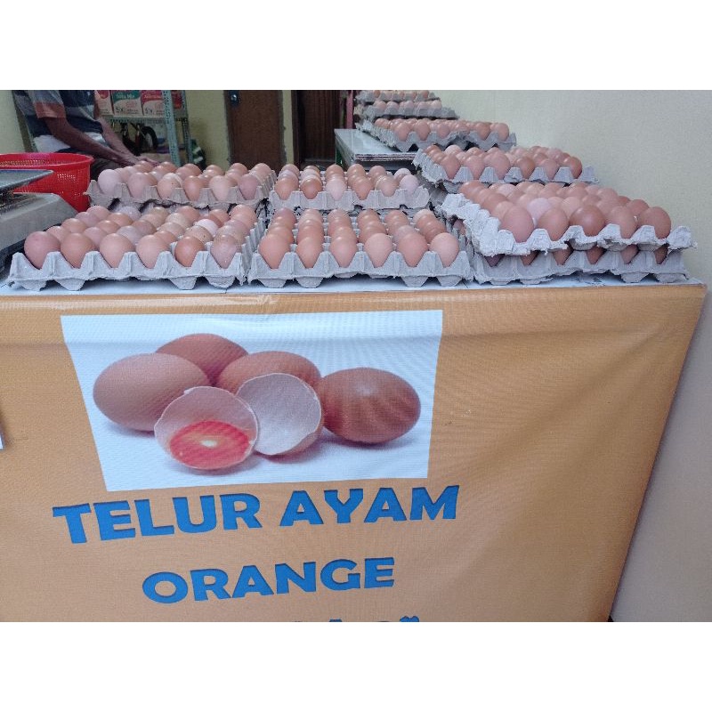 

Telur Ayam Negeri Omega (1 tray isi 30 butir)