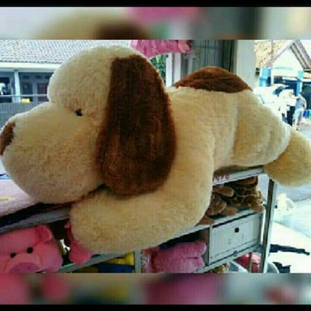 Boneka anjing #boneka guffy super jumbo