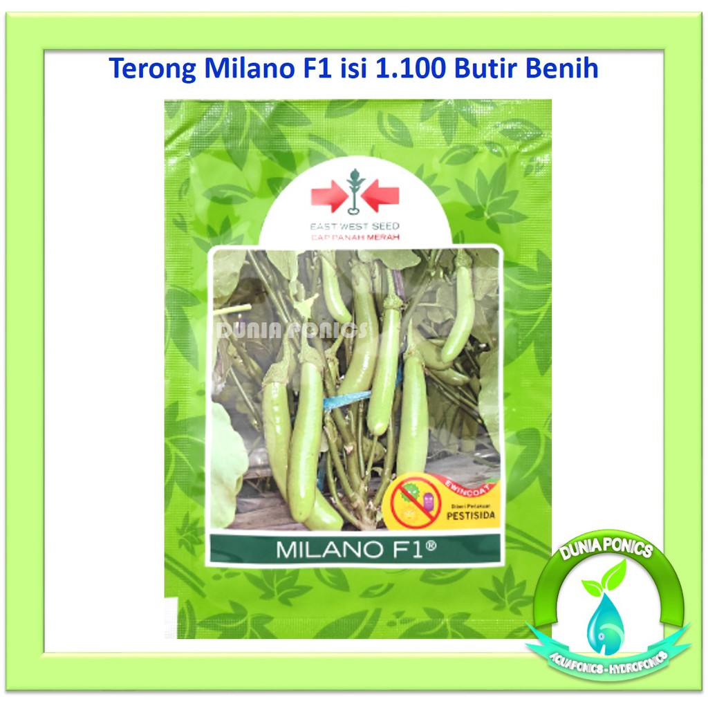 Benih Terong Hijau MILANO F1 Panah Merah Kemasan Asli 1.100 Butir
