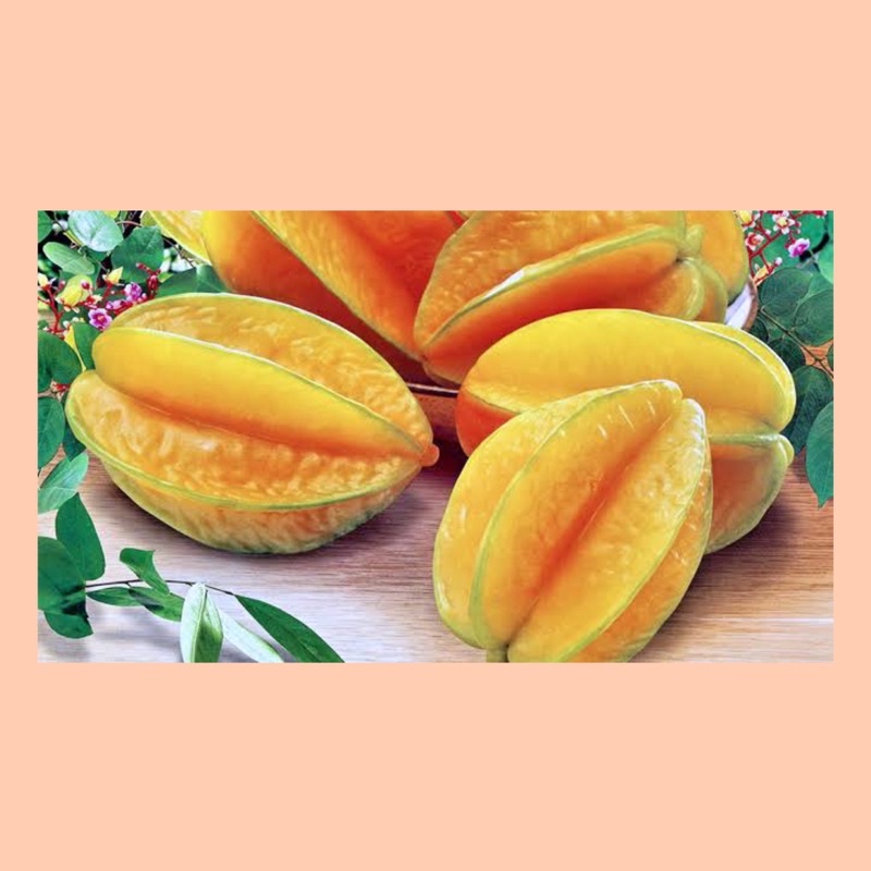 

Buah belimbing dewi / belimbing manis