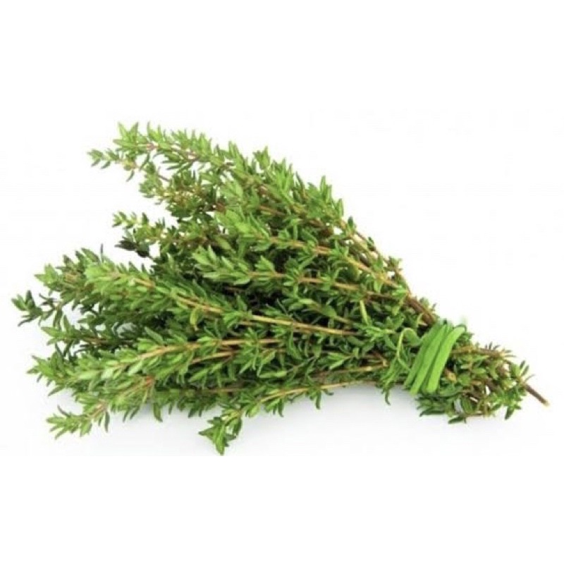 50gr | DRIED THYME LEAVES | DAUN TIMI CACAH KERING | Rempah Herbal asli alami bumbu dapur penyedap masakan nusantara obat Teh herbal