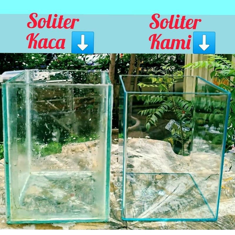 Toples cupang 4 liter