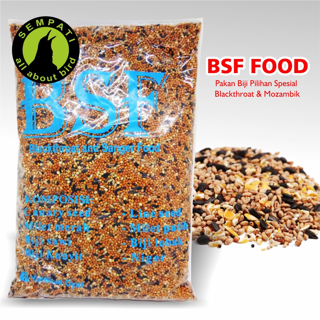 Mozambik Bsf Pakan Burung Mozambik Blackthroat Sanger Mozambik