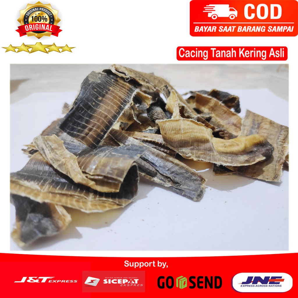 CACING TANAH KERING ASLI - OBAT TIPES - DEMAM - PANAS TINGGI MANJUR