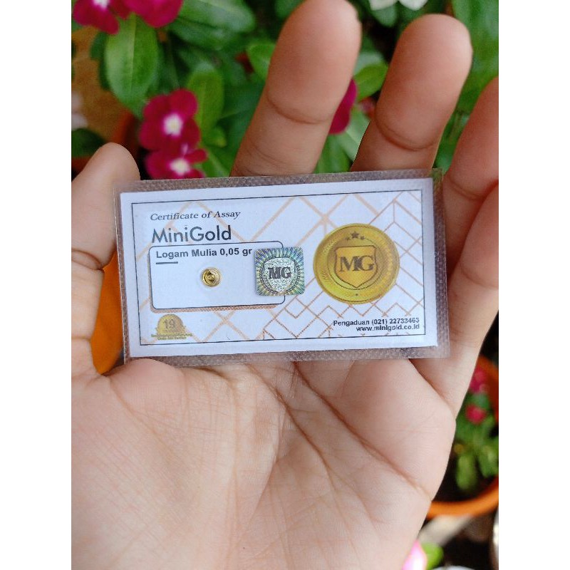 Minigold 0,05 gr