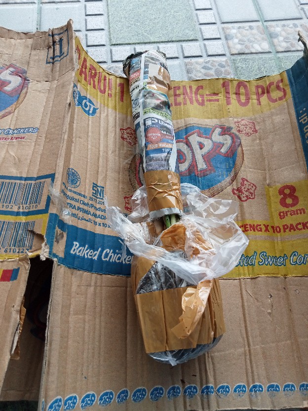 Bunga Aglonema Paket 3 Batang