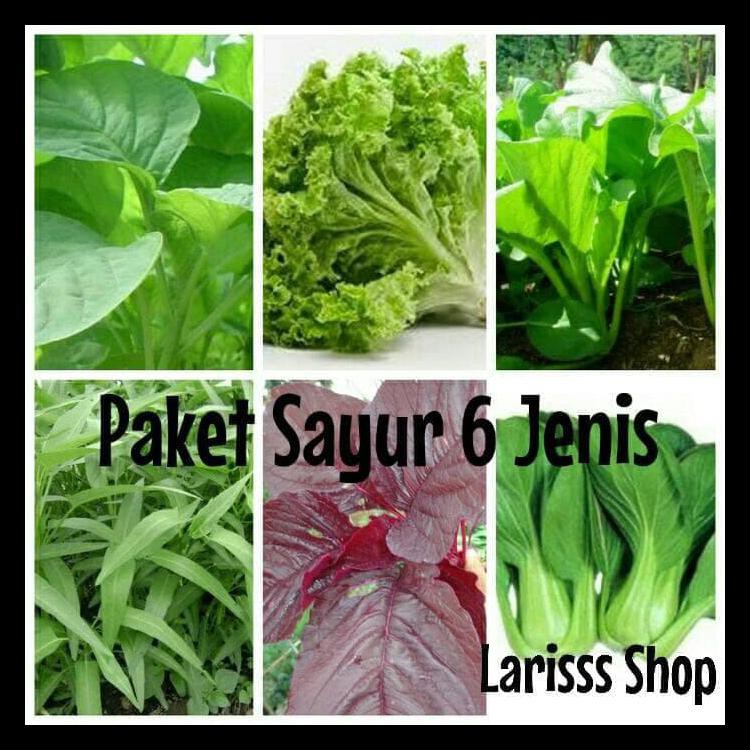 Benih / Bibit / Biji Sayur Hidroponik Paket Isi 6 Macam Sayur