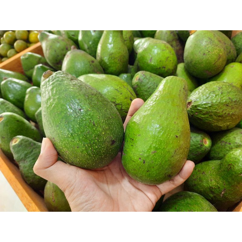 

ALPOKAT MENTEGA BESAR SUPER SIAP KIRIM LUAR KOTA per 1 KG
