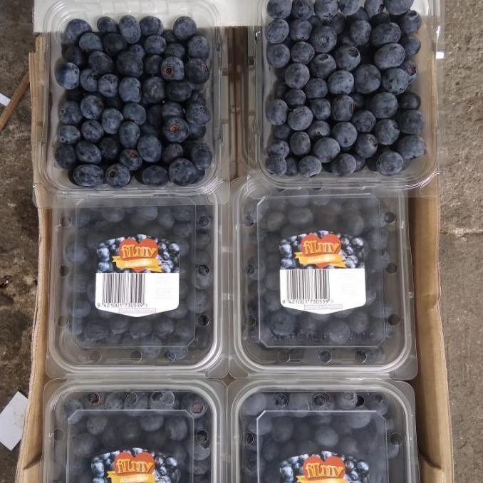 SAYUR & BUAH BUAH SEGAR BLUEBERRY BLUEBERRIES FRESH PER PACK MAKANAN & MINUMAN