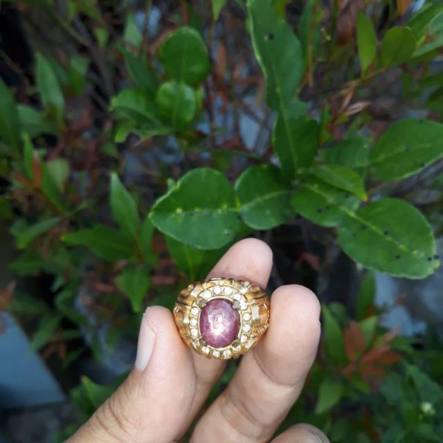Ruby Madagaskar 5