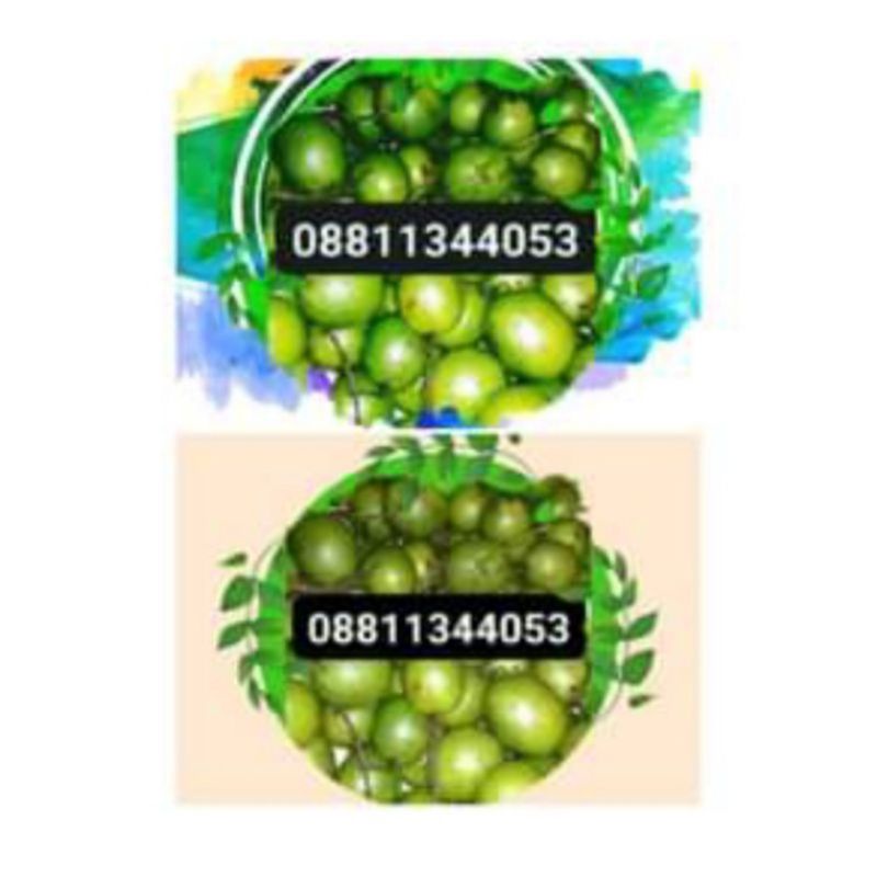 

BUAH JATAKE | BUAH ASEM | BUAH GANDARIA