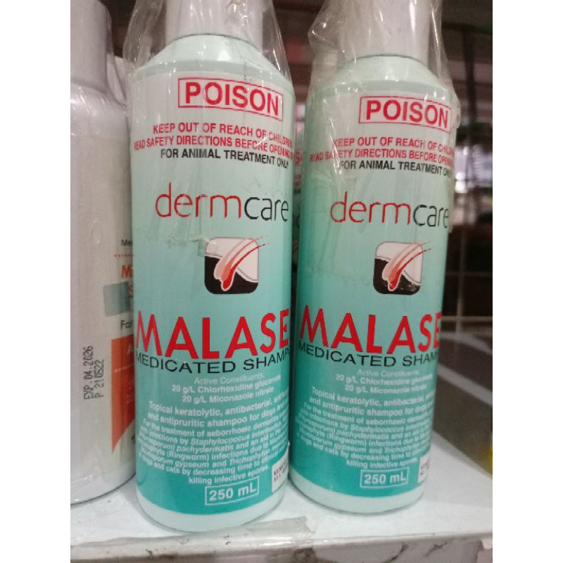shampo jamur buat kucing MALASEB 250ml