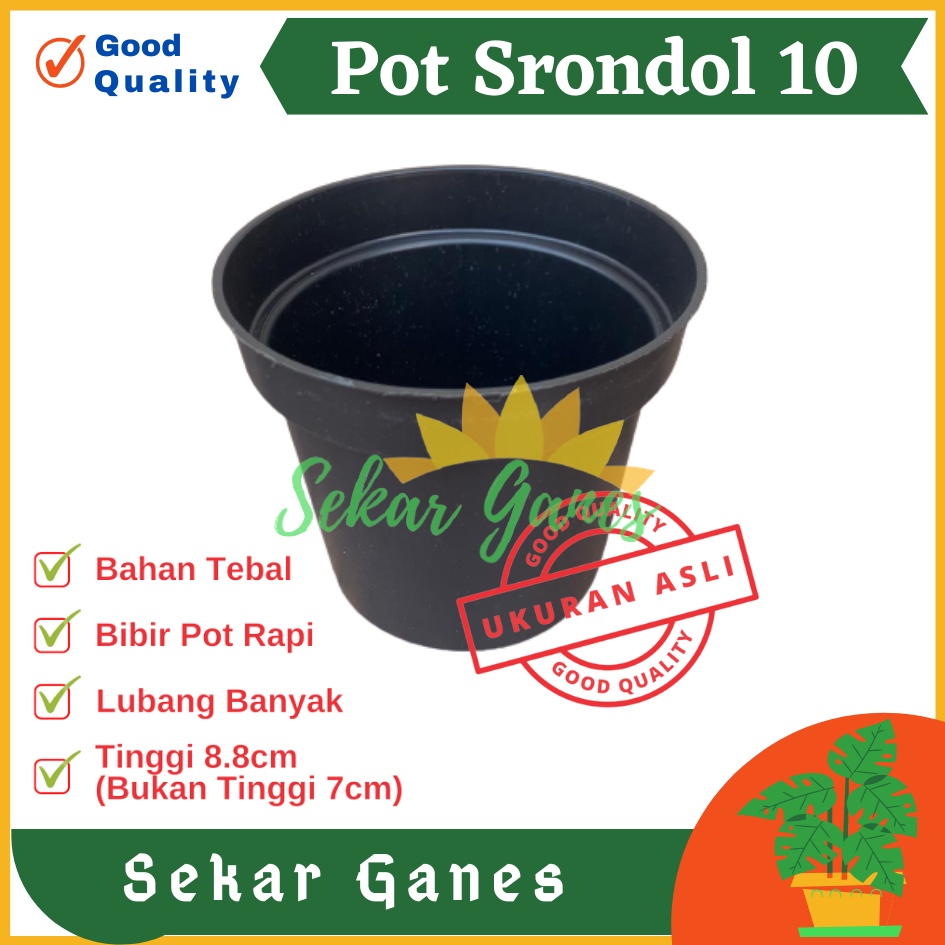 POT 10 CM HITAM MURAH - POT BULAT KECIL BISA UNTUK VAS BUNGA - POT TANAMAN 10CM HITAM BENIH KECIL OK