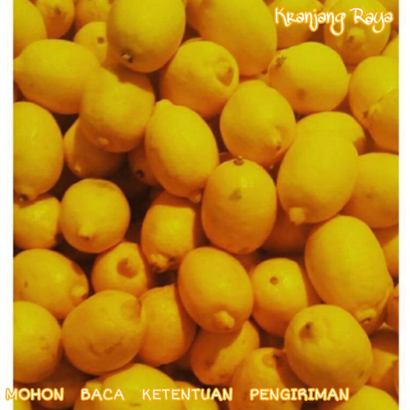 

Lemon Import
