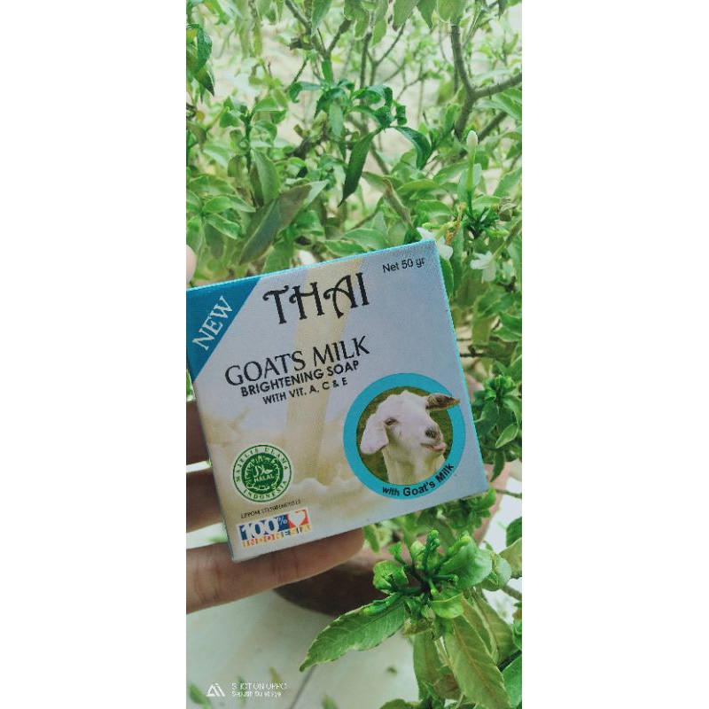 Thai Goats Milk Soap
