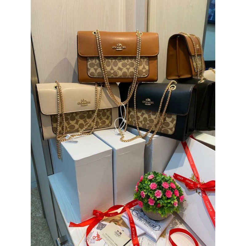 Tas Coach Ch Kingdom Free Box