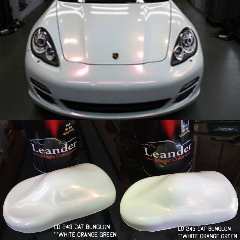 cat bunglon chameleon putih orange hijau Leander