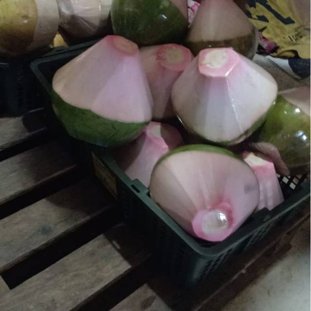 

Kelapa ijo packing