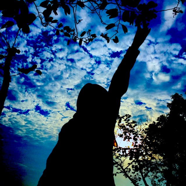 megamauliddianprihatna