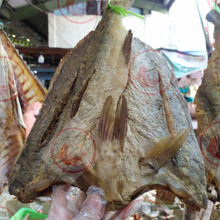 

Ikan asin Mayong Kering Grade A Asli Kalimantan Pontianak 500 Gr