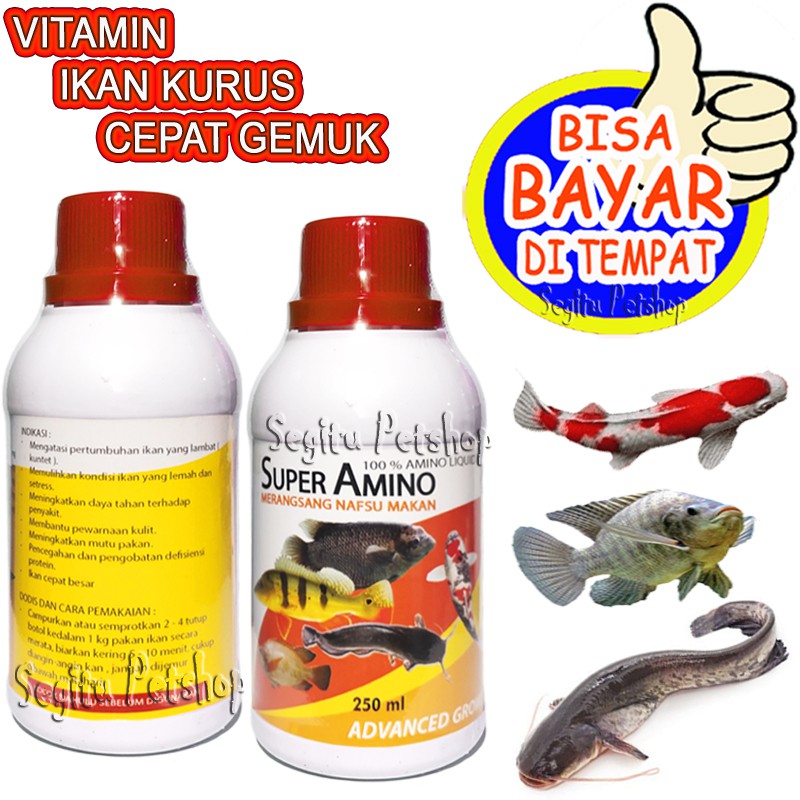 VITAMIN IKAN KURUS CEPAT GEMUK MAS MUJAIR LELE GURAMI PATIN BAWAL GABUS SUPER AMINO