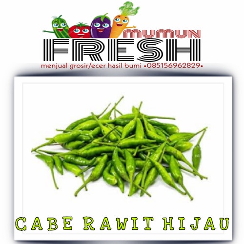 

cabe rawit hijau 500gr