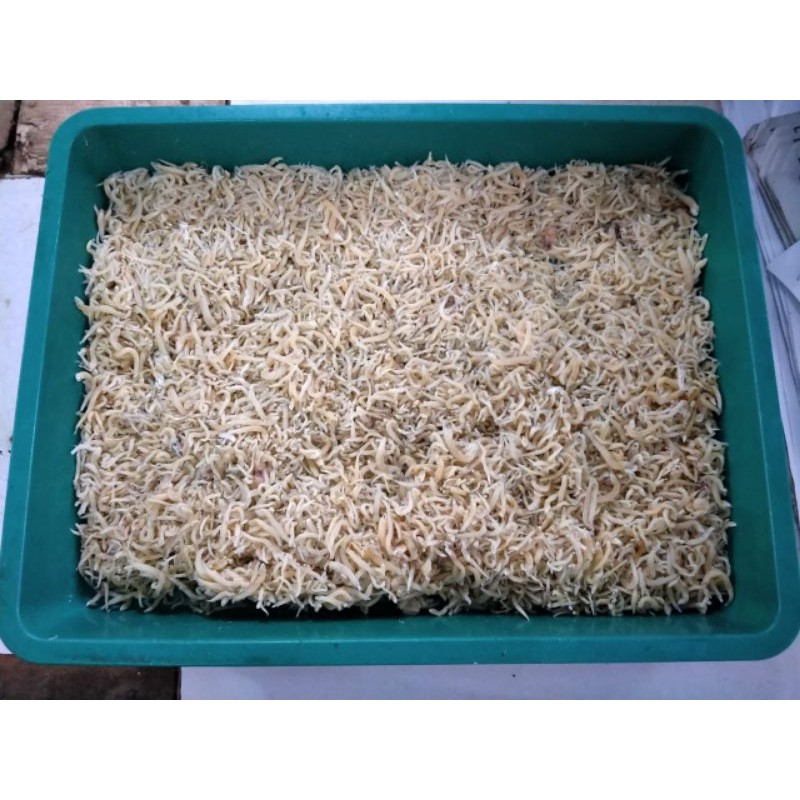 

Teri Medan / Teri Nasi