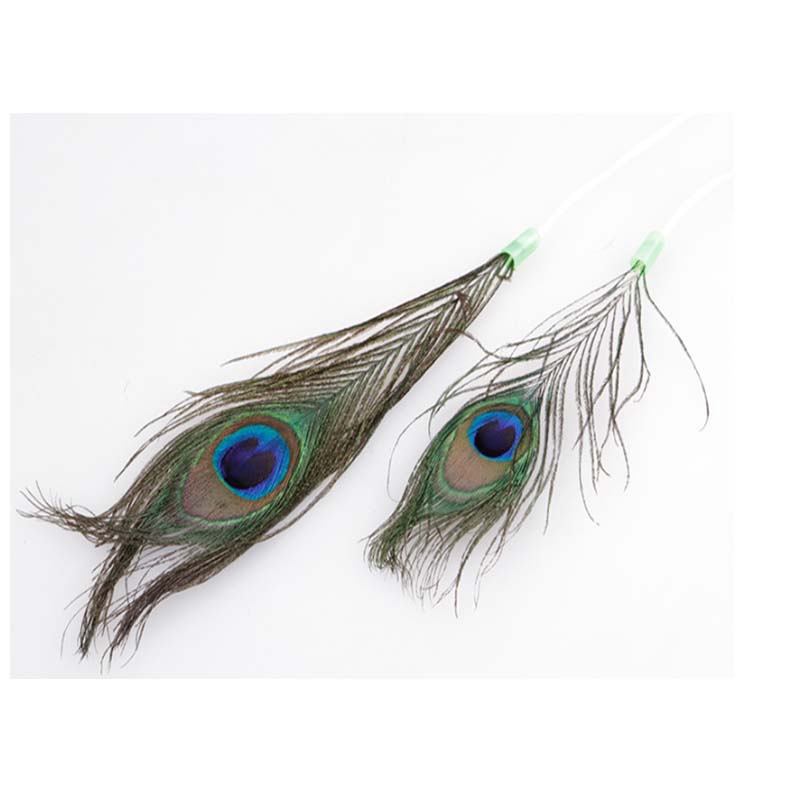 400 Gambar Burung Merak Dari Stik Gratis Terbaik