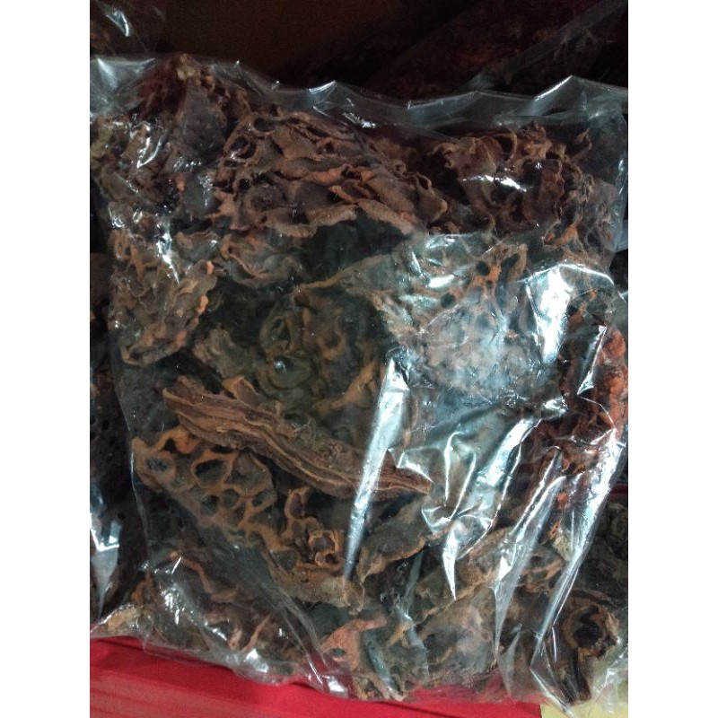 Sarang Semut Merah Duri 100% Asli Papua