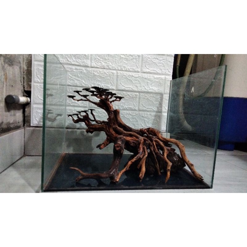 BONSAI AQUASCAPE || HARDSCAPE BONSAI AQUASCAPE || HIASAN AQUASCAPE