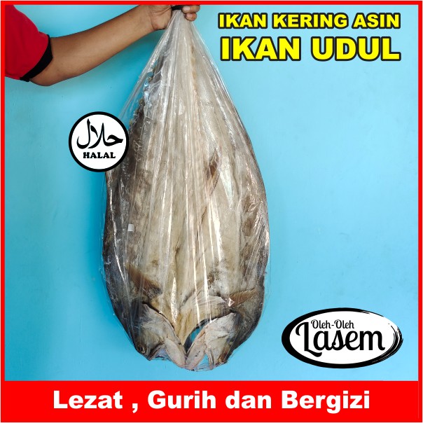 

IKAN KERING ASIN IKAN UDUL OLEH-OLEH LASEM REMBANG / KHAS REMBANG / KHAS BONANG