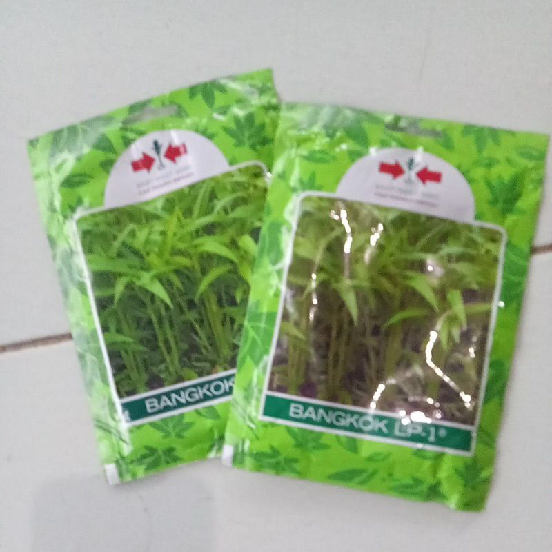 benih kangkung Bangkok LP-1