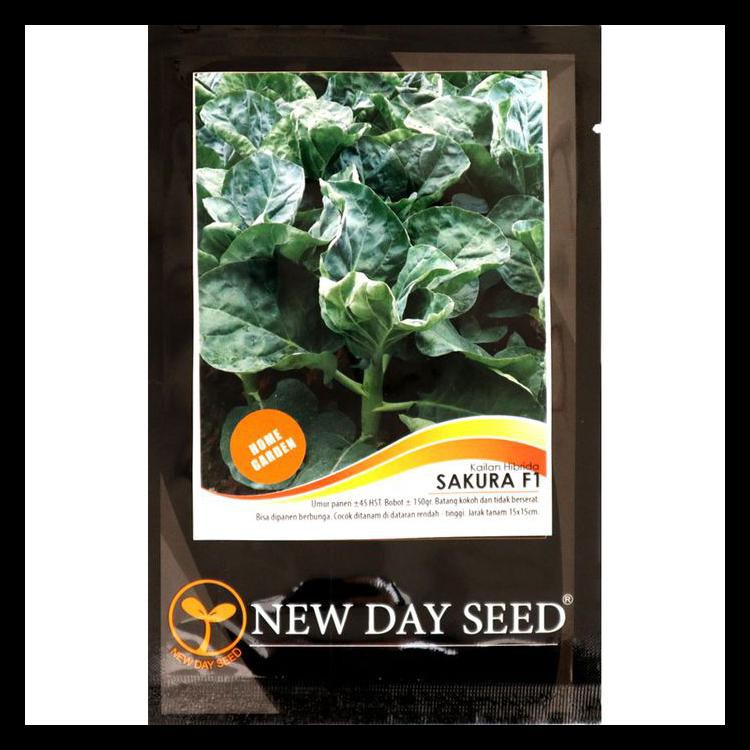 Benih Kailan - Sakura F1 (New Day Seed)