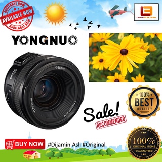 Yongnuo 35mm f/2.0 for Nikon Lens Bokeh