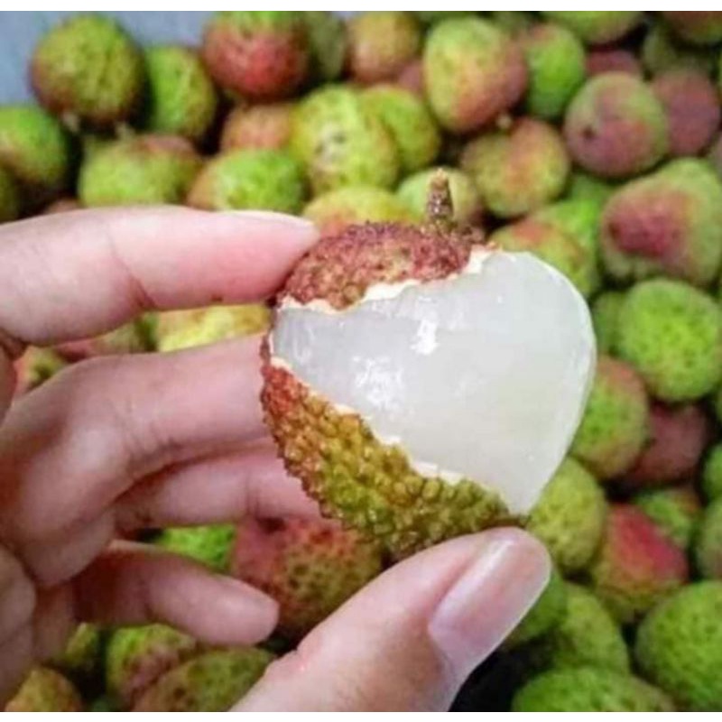 Leci Madu 1 kg / Buah manis