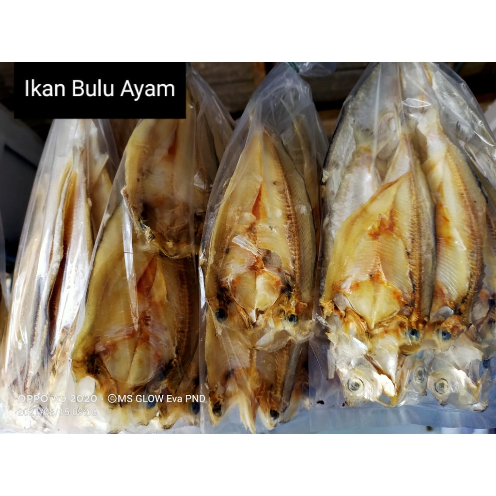 

Ikan Asin Bulu Ayam