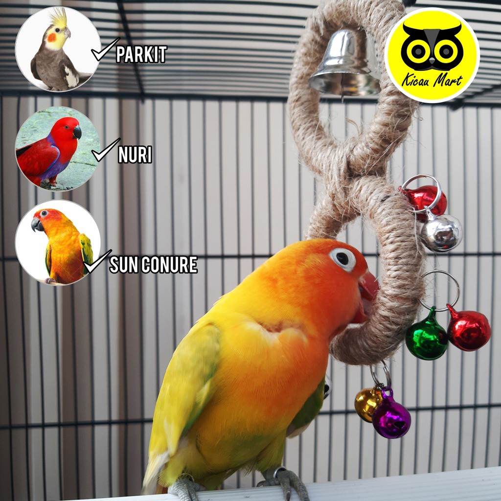 GIGITAN CINCIN RAMI MAINAN BURUNG LOVEBIRD PARKIT FALK NURI SUNCONURE PARUH BENGKOK KAKATUA GTRCN