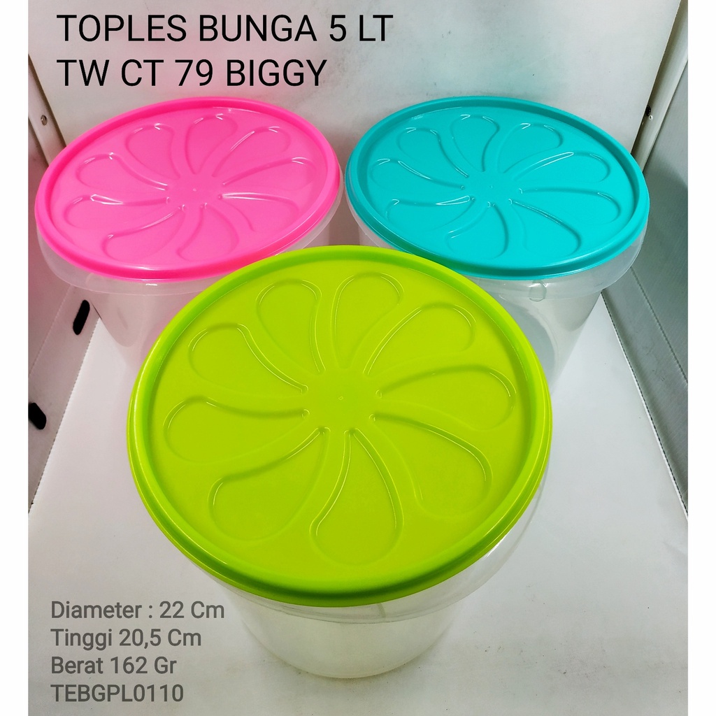 TOPLES BUNGA BIGGY 5 LT TW CT 79 TEBGPL0110