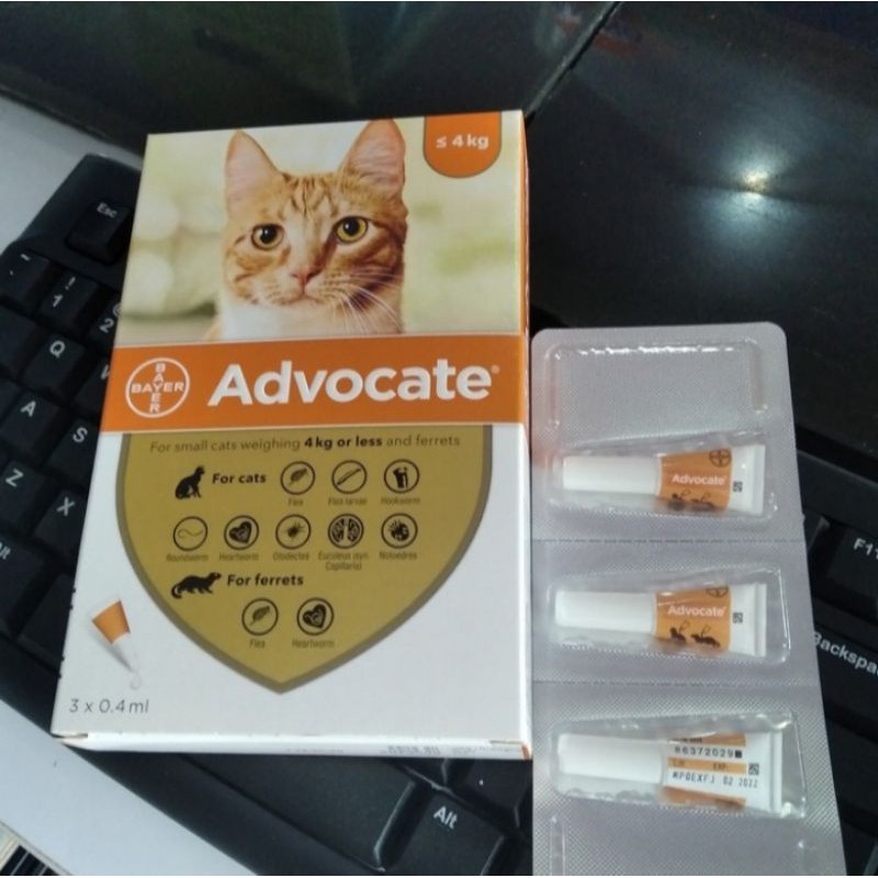 (1box = 3tube) Advocate cat up to 4 kg - obat tetes kutu ampuh