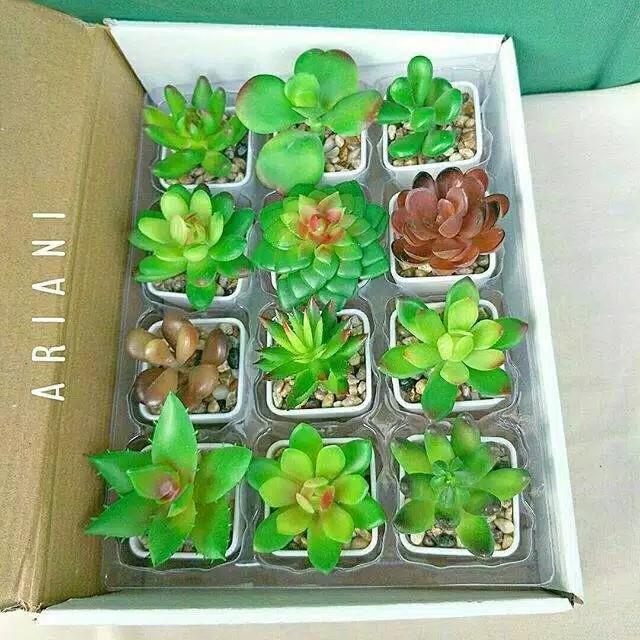 Atasan Batik Wanita Motif Tenun Unique - Blouse Batik Wanita - S-m-l-xl-xxl-3l-4l-5l