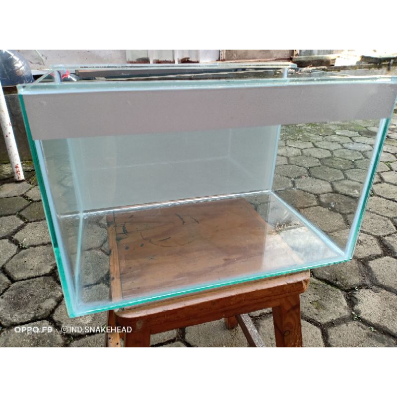 tank channa dwarf/aquarium 40x25x25+background