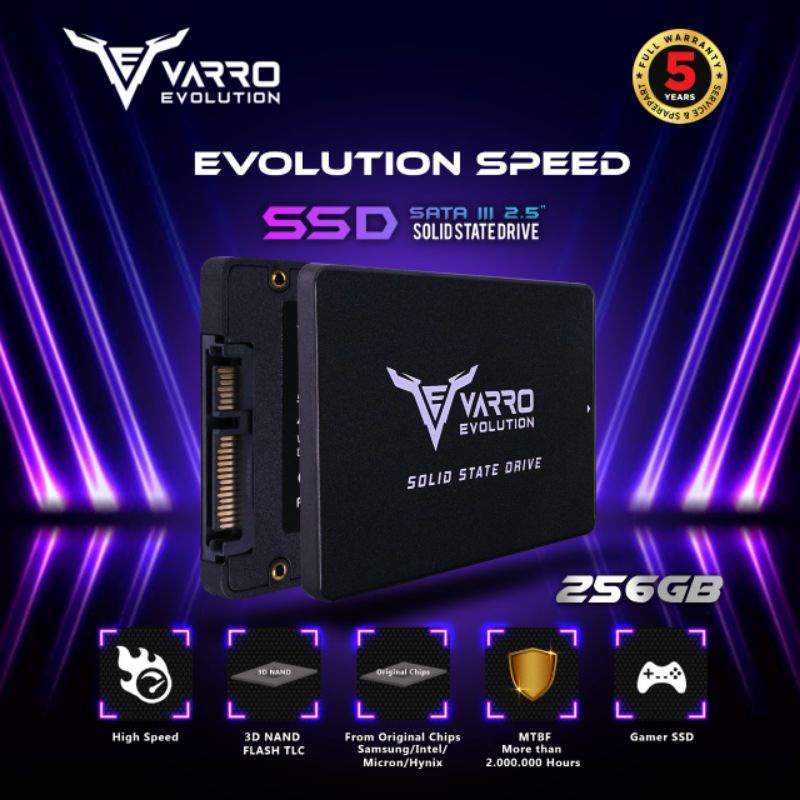 SSD VARRO 256GB SATA